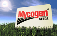 Mycogen Seeds Supermassive Studios motion graphics